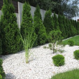 PERSSON PRZEMYSŁAW JABŁOŃSKI - Równy rząd wysokich, zielonych tuj wzdłuż betonowego ogrodzenia, podsypane białym kamieniem, z dodatkiem trawy ozdobnej i niskich, kulistych krzewów.