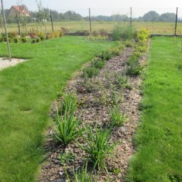 PERSSON PRZEMYSŁAW JABŁOŃSKI - Świeżo założony ogród z rabatą wysypaną korą, młodymi roślinami i równo przystrzyżonym trawnikiem, widok z perspektywy ogrodu w kierunku domu w tle.