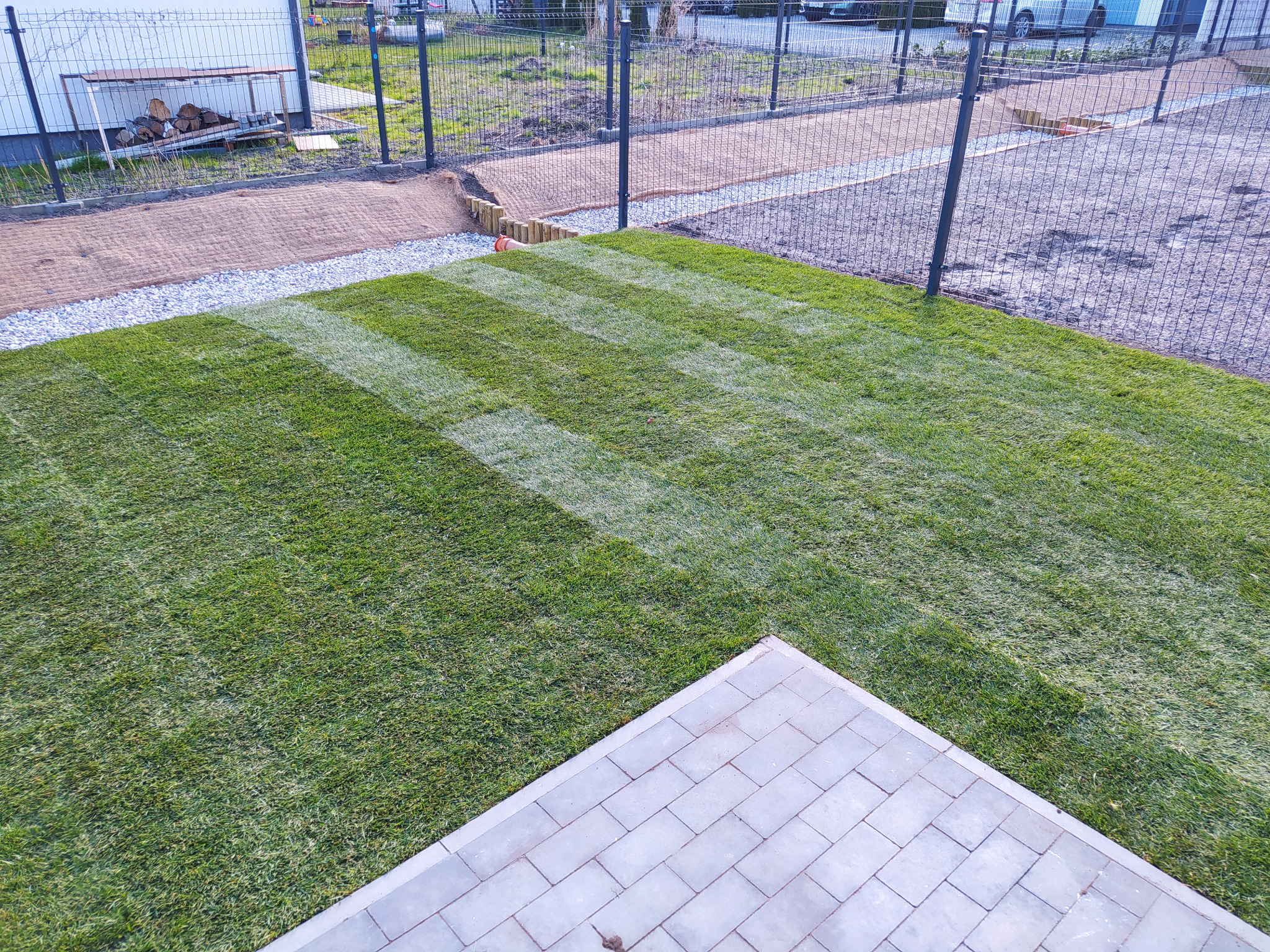 Świeżo założony trawnik z rolki, z widocznymi pasami po koszeniu, graniczący z szarą kostką brukową i przygotowanym terenem pod nasadzenia, ogrodzony metalową siatką.