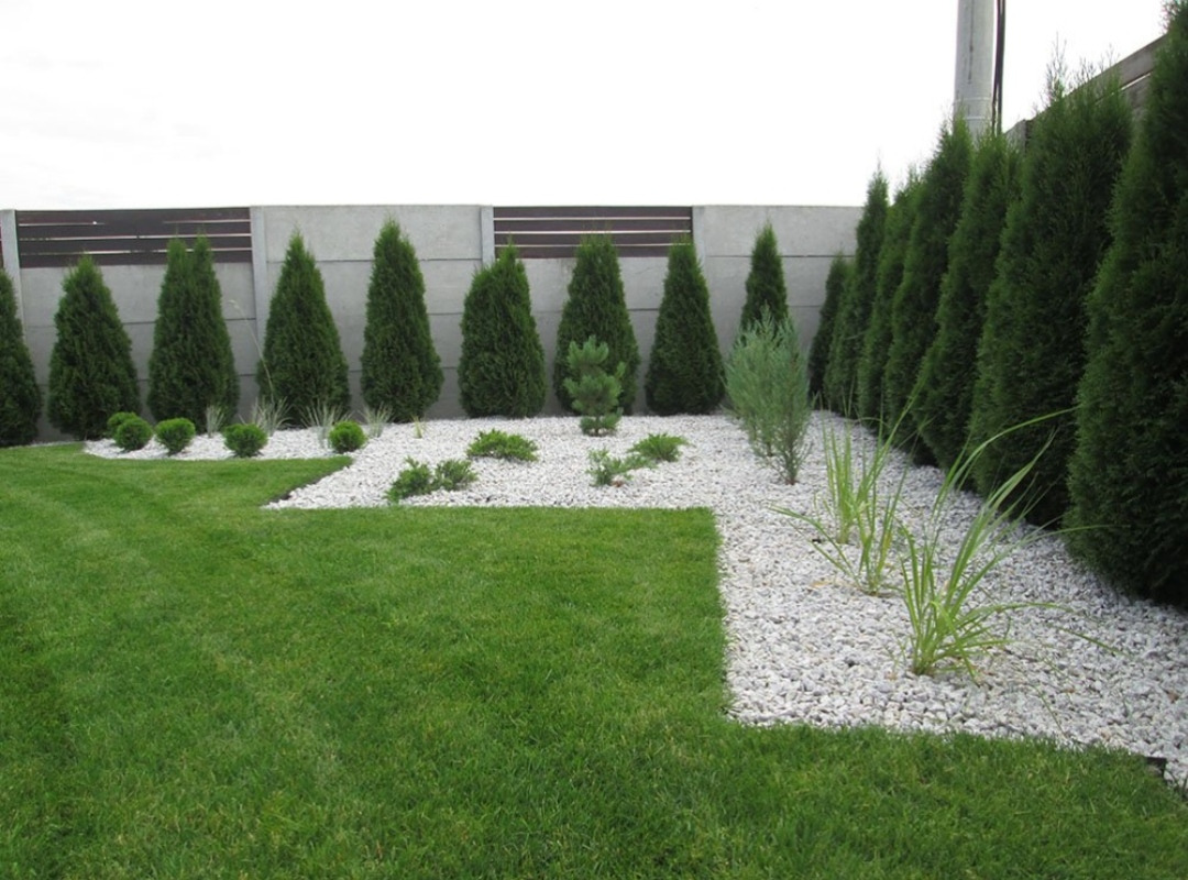 Starannie zaprojektowany ogród z równo przystrzyżonym trawnikiem, białymi kamykami, rzędem tuj i niskimi krzewami, oddzielony od sąsiedniej posesji betonowym ogrodzeniem.