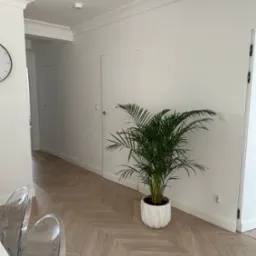 Jasny parkiet ułożony w jodełkę francuską w holu. Białe ściany, sztukateria sufitowa i donica z zieloną rośliną. Przezroczyste krzesła w tle.