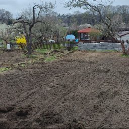 Przycinanie drzew Maszewo 4