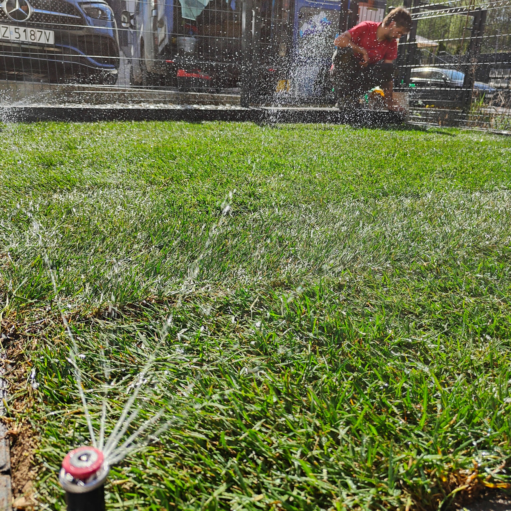 Zraszacz rotacyjny nawadniający trawnik, w tle pracownik w czerwonej koszulce przy linii ogrodzenia i zaparkowany samochód.
