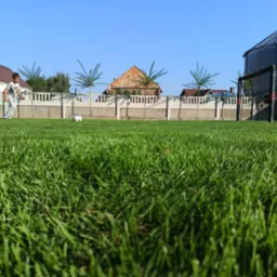 Chłopiec w szarej koszulce i spodniach kopie piłkę na intensywnie zielonym trawniku przed ogrodzeniem z młodymi drzewkami, w tle budynki i silos.