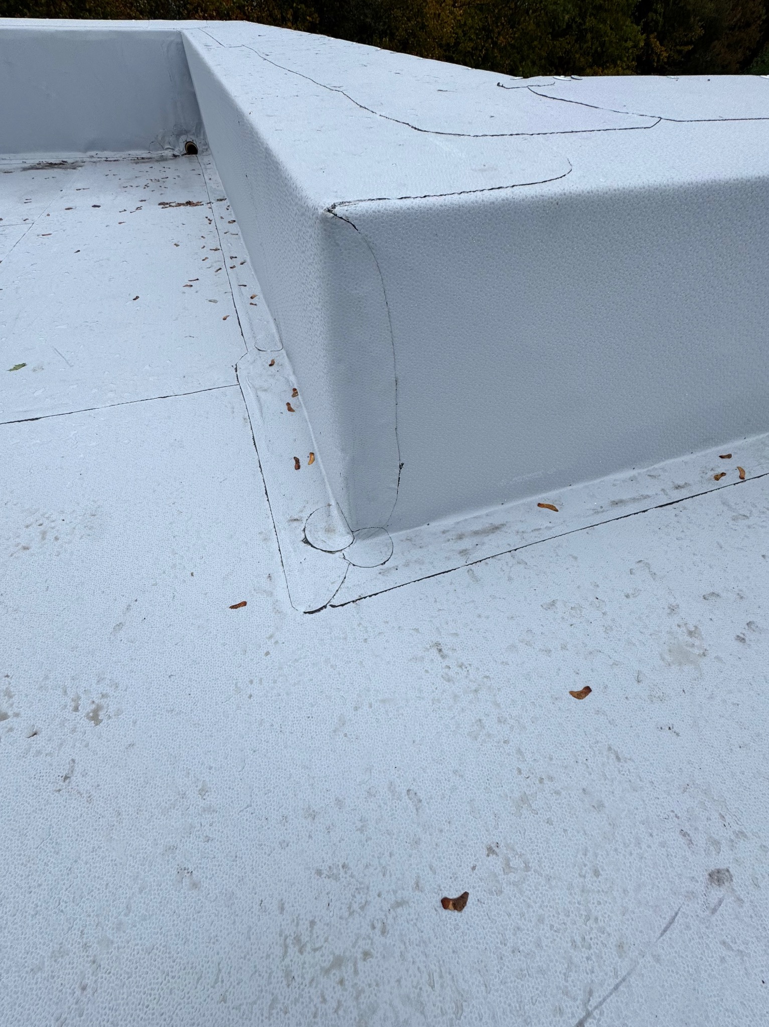 Biała, płaska powierzchnia dachu z widocznymi łączeniami i elementami konstrukcyjnymi, pokryta drobnymi, brązowymi zanieczyszczeniami. W tle zieleń drzew.