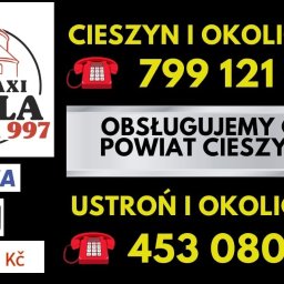 Przewóz osób Cieszyn 3