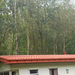 USŁUGI BUDOWLANE ARKADIUSZ PESTKA - Czerwony dach z blachy trapezowej na parterowym budynku z widokiem na las brzozowy w tle, nowy system rynnowy zamontowany pod okapem.