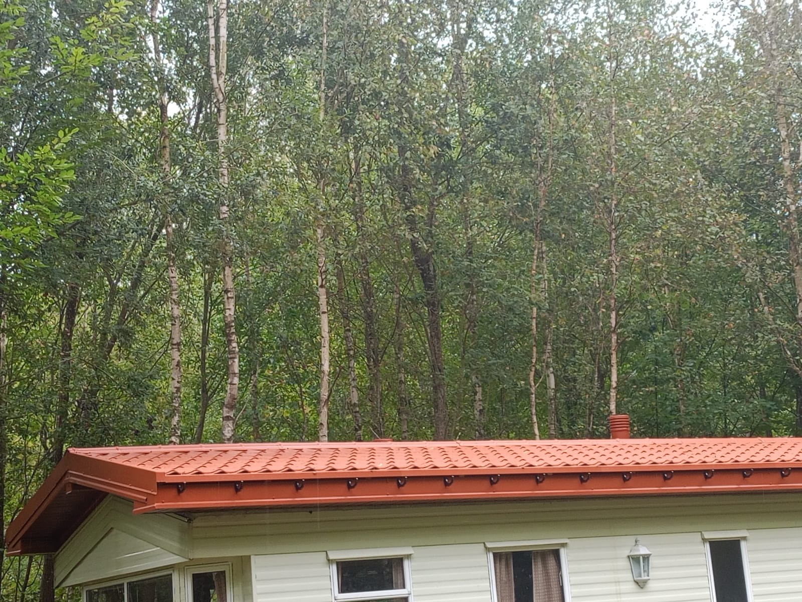 Czerwony dach z blachy trapezowej na parterowym budynku z widokiem na las brzozowy w tle, nowy system rynnowy zamontowany pod okapem.