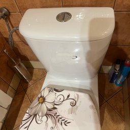Mirosława Mira - Toaleta z deską ozdobioną motywem kwiatowym na tle brązowych płytek, widoczne środki czystości i szczotka do WC.