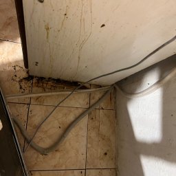 Sprzątanie mieszkań Nysa 2