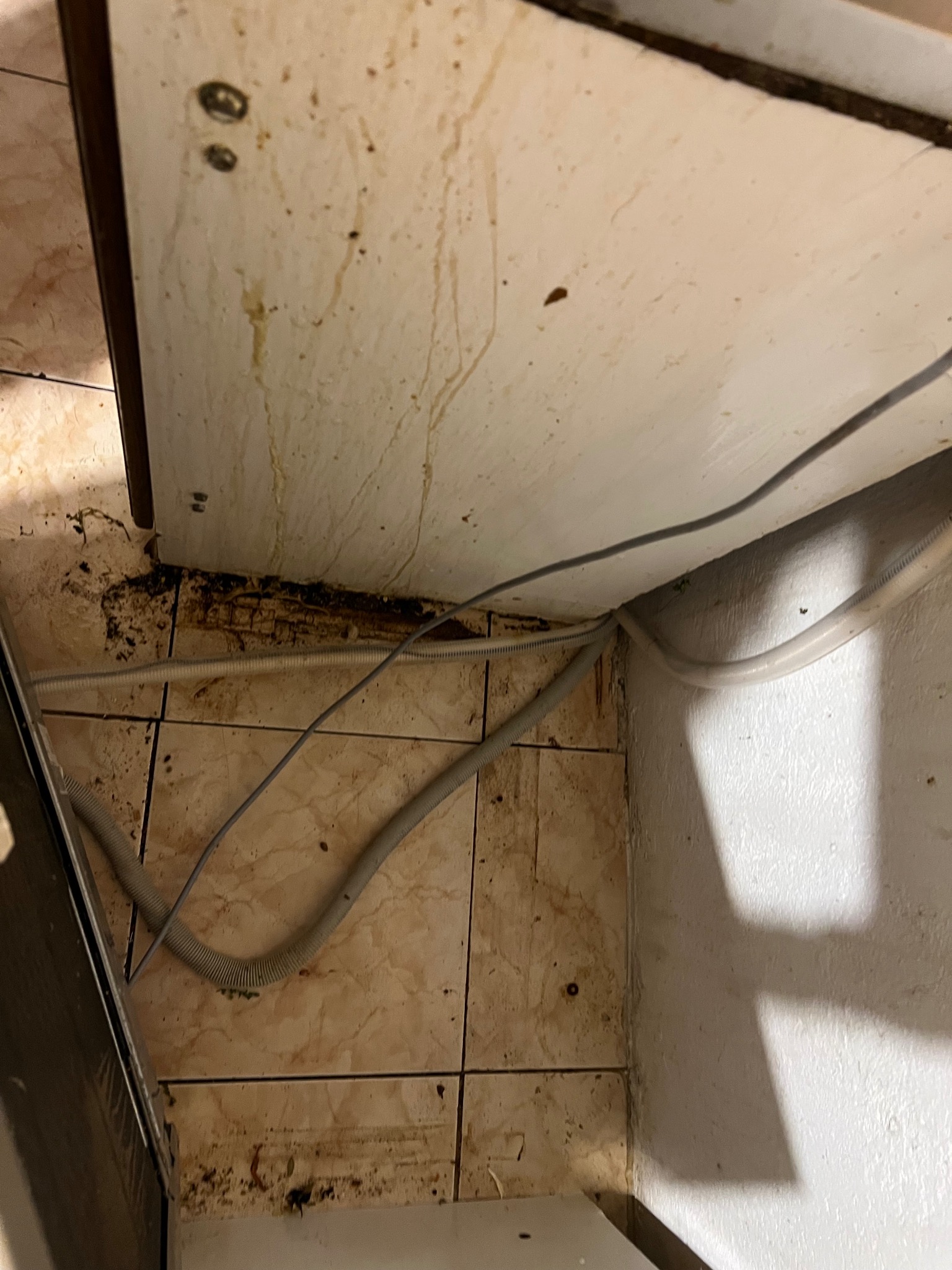 Zanieczyszczona przestrzeń pod zlewem z widocznymi plamami, brudem i przewodami na beżowych płytkach. Zaniedbany kąt w kuchni przed sprzątaniem.