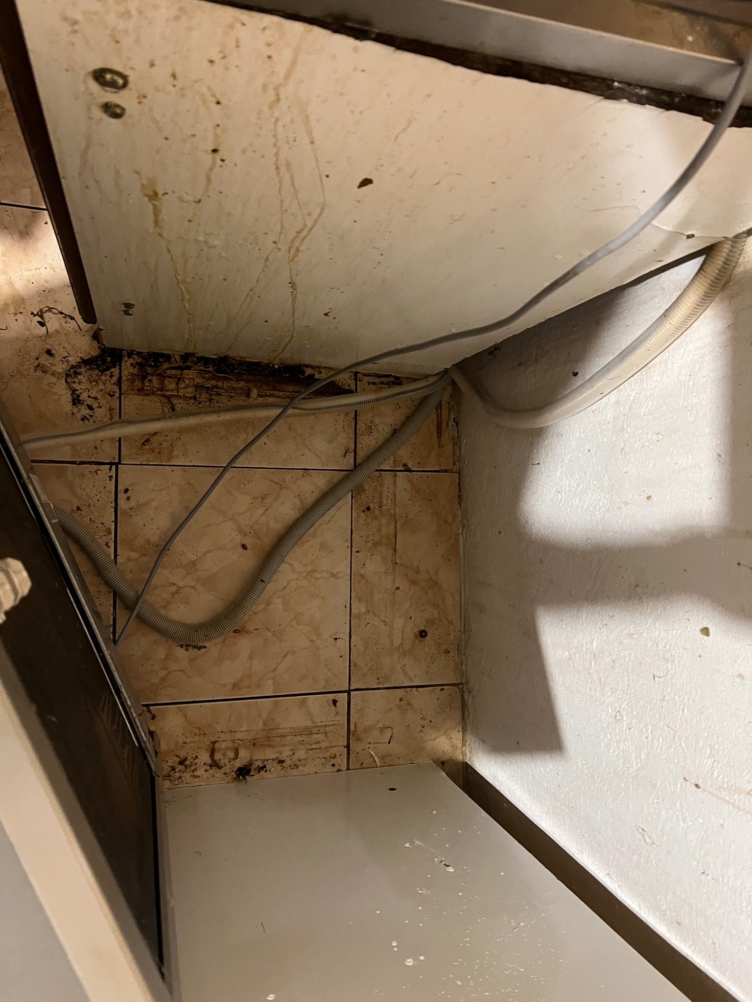 Zanieczyszczona podłoga i ściany pod zlewem, widoczne przewody i plamy. Zaniedbana przestrzeń w kuchni wymagająca gruntownego wysprzątania.