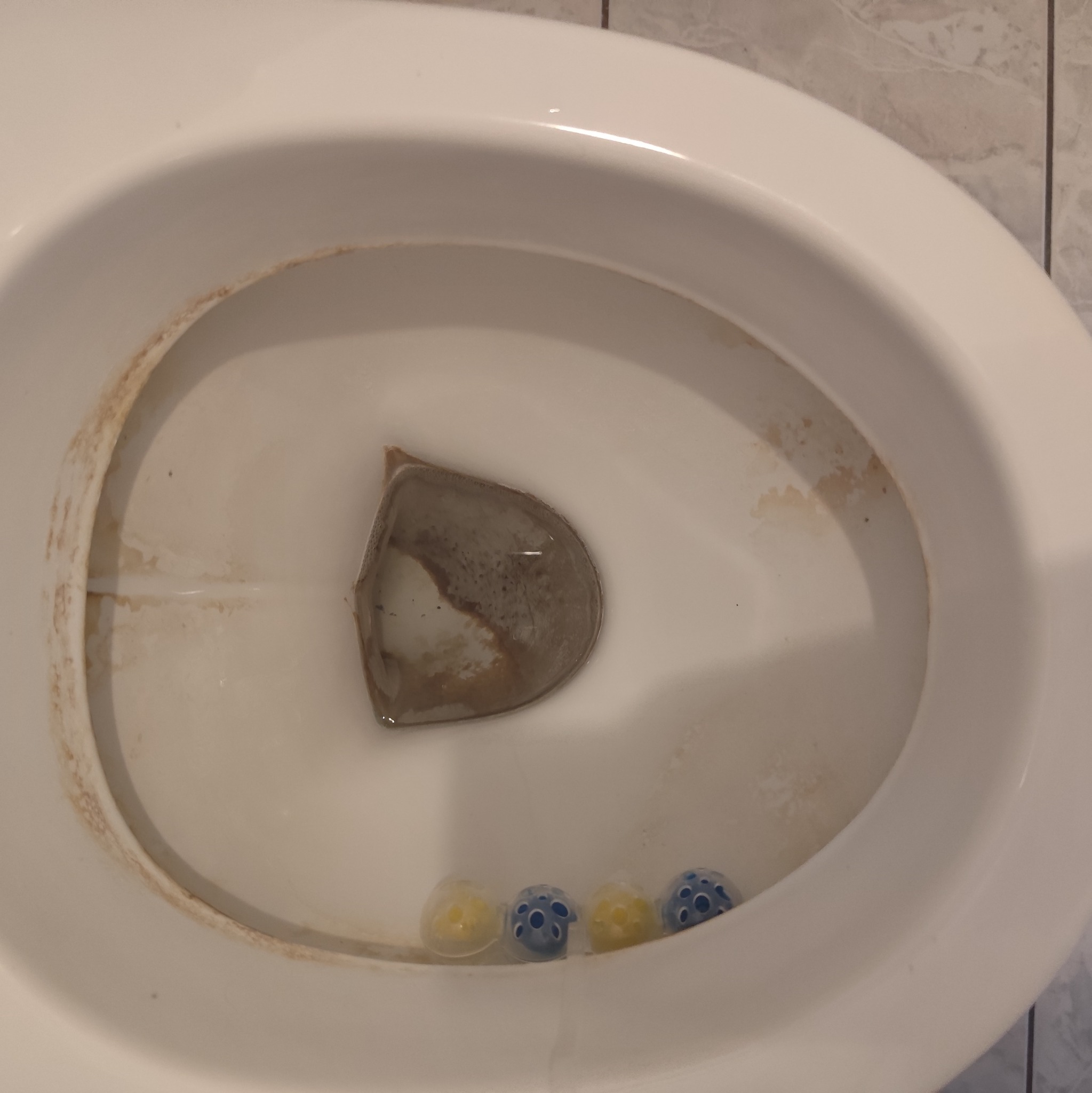 Z bliska: wnętrze toalety z osadami i zawieszką czyszczącą. Widoczne żółto-niebieskie kulki środka czyszczącego i zacieki na porcelanie muszli klozetowej.