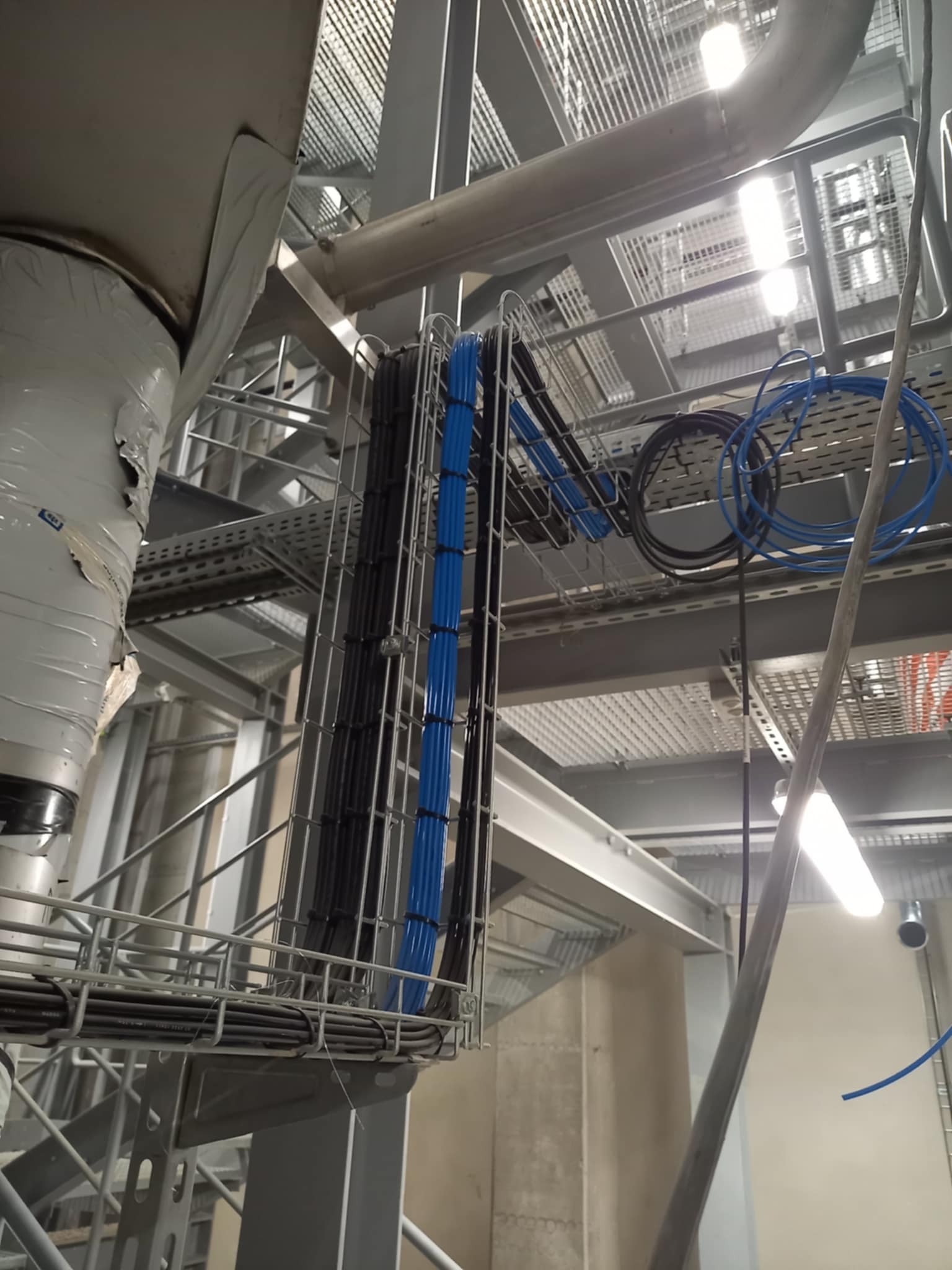 Trasy kablowe w metalowej korycie, kable czarne i niebieskie, widok z dołu na konstrukcję stalową w hali przemysłowej, oświetlenie jarzeniowe.