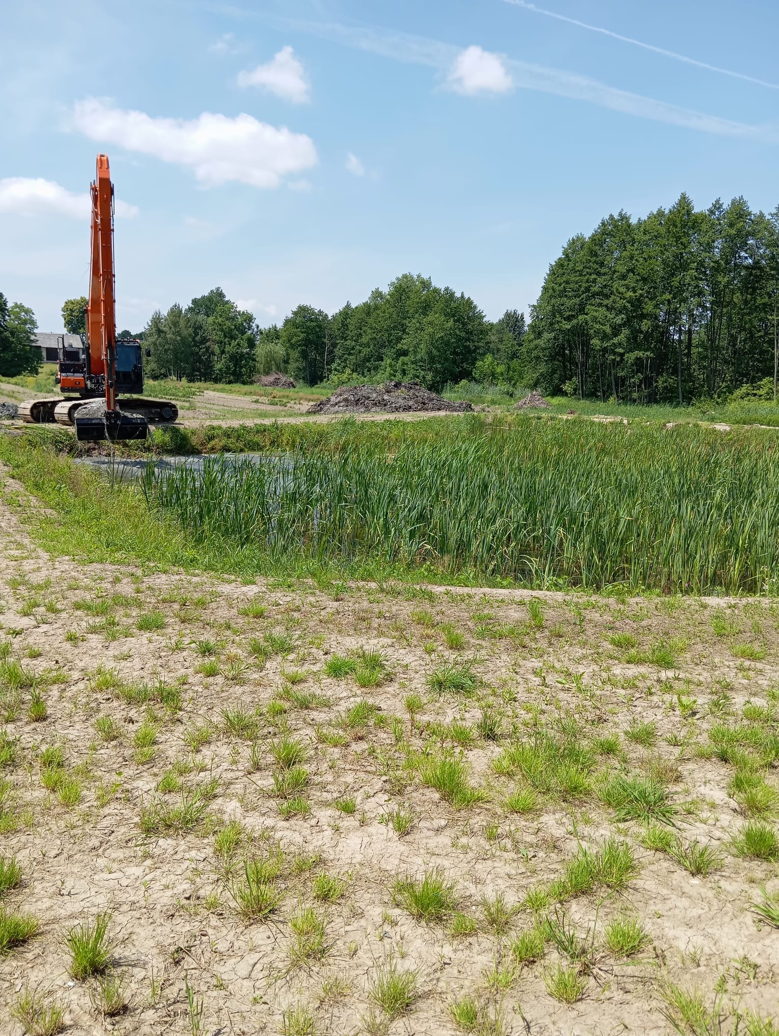 Pomarańczowa koparka Hitachi zanurzona w stawie z trzciną na tle zieleni i błękitnego nieba z chmurami. Widoczne ślady pracy maszyny.