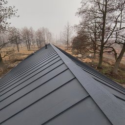 Dach-Expert Igor Smirnow - Szary dach z blachy na tle drzew w mglisty dzień. Widoczne krople wody na powierzchni. Ujęcie z góry, podkreślające geometrię i fakturę pokrycia.