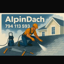 AlpinDach VADYM PUZYR - Malowanie Dachów Kościerzyna