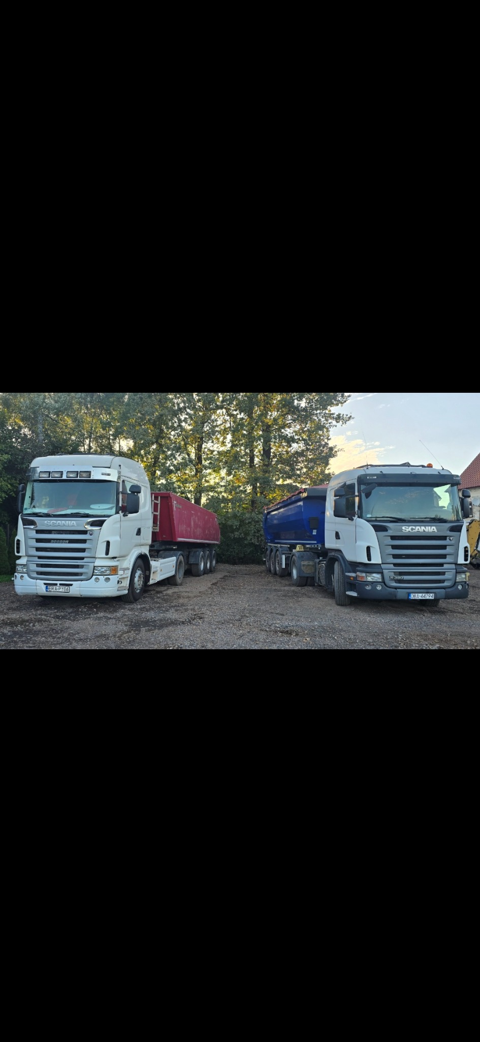 Dwa białe samochody ciężarowe Scania z naczepami (czerwona i niebieska) stoją na żwirowym placu, otoczone zielenią drzew. Widok z przodu, lekko z dołu.