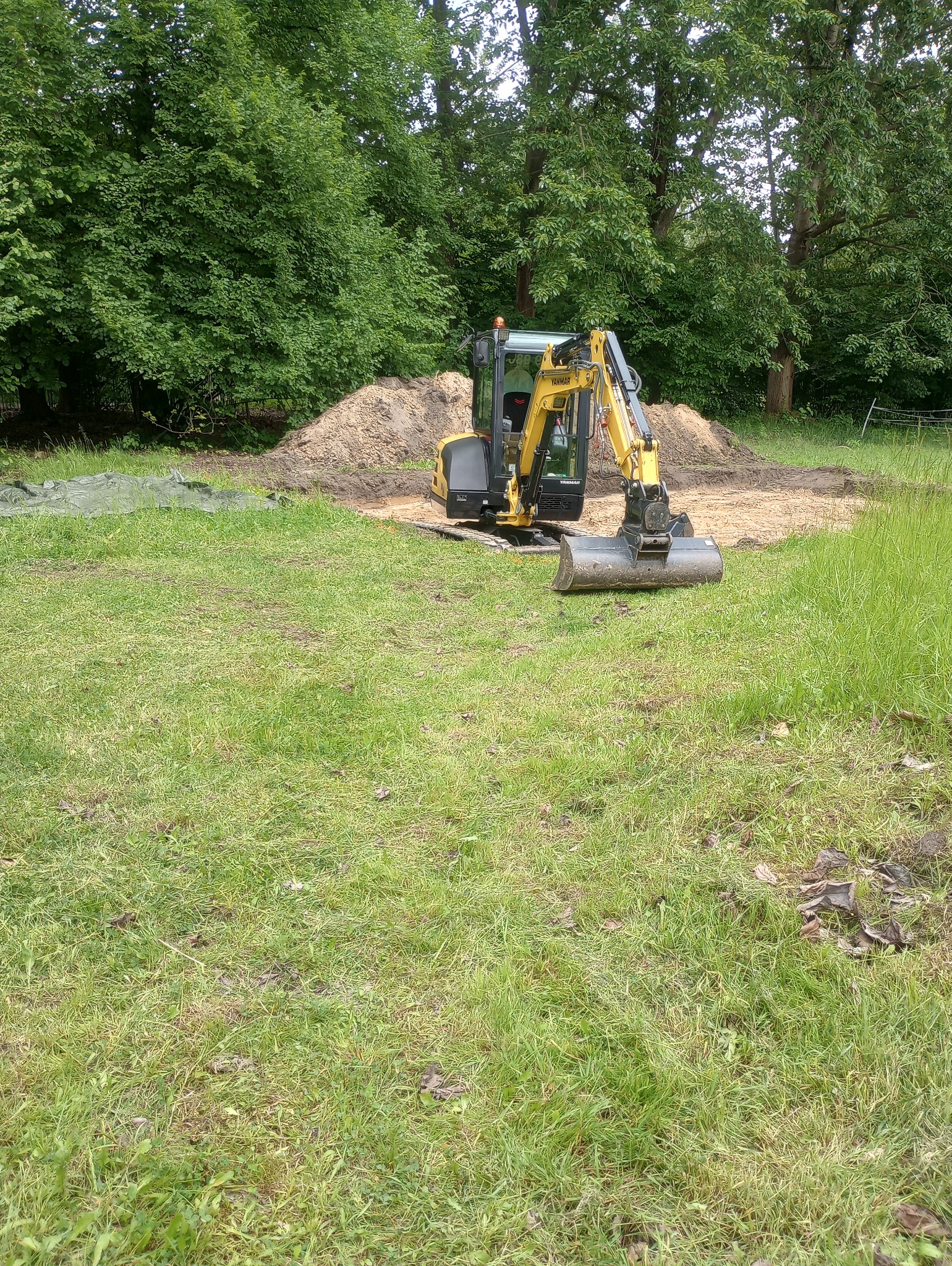 Żółto-szara mini koparka Yanmar na trawiastym terenie, obok wykopu wypełnionego piaskiem, z zielonymi drzewami w tle.