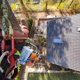 DNARBO DAMIAN NIEMCZYK - wycinka sekcyjna w pobliżu infrastruktury