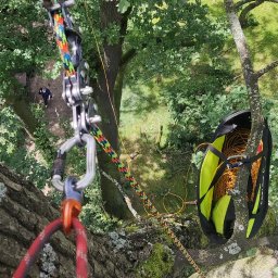 DNARBO DAMIAN NIEMCZYK - Widok z góry na sprzęt arborystyczny zawieszony na drzewie, z zielonym tłem liści i odległym fragmentem trawnika. Lina w jaskrawych kolorach.