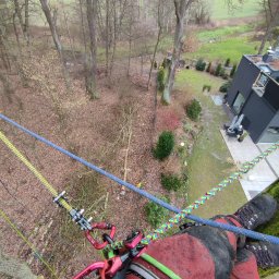DNARBO DAMIAN NIEMCZYK - Widok z góry na arboristę w trakcie pracy na drzewie, zabezpieczonego linami, z widocznym terenem zielonym i nowoczesnym domem w tle.