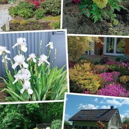 DNARBO DAMIAN NIEMCZYK - Projektowanie ogrod&oacute;w Zgorzelec