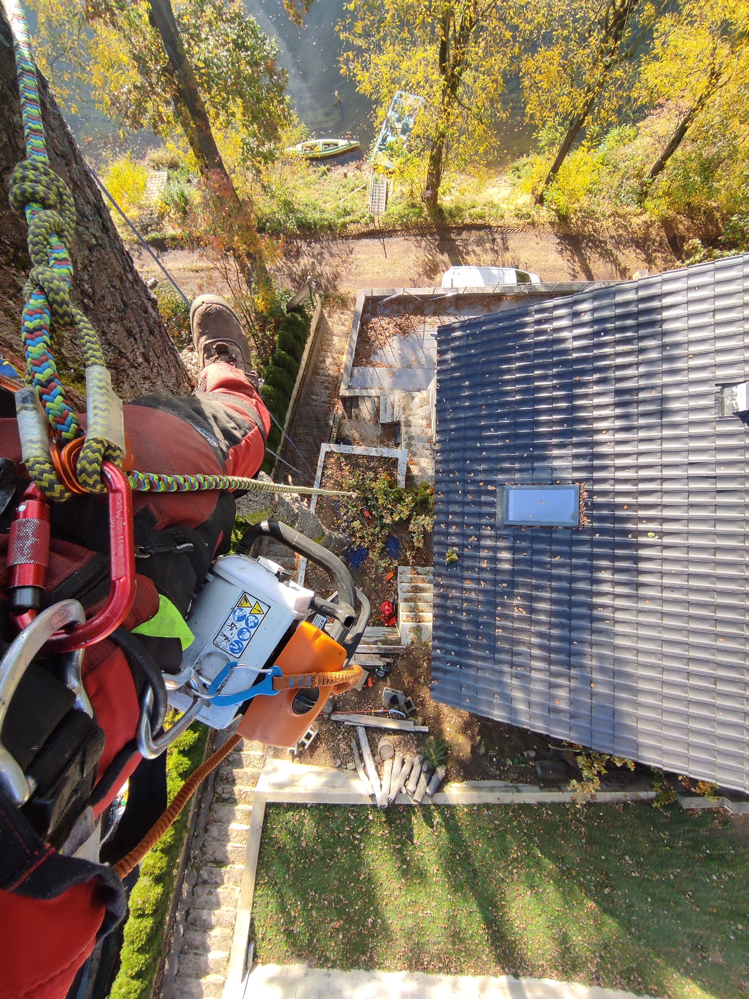 wycinka sekcyjna w pobliżu infrastruktury