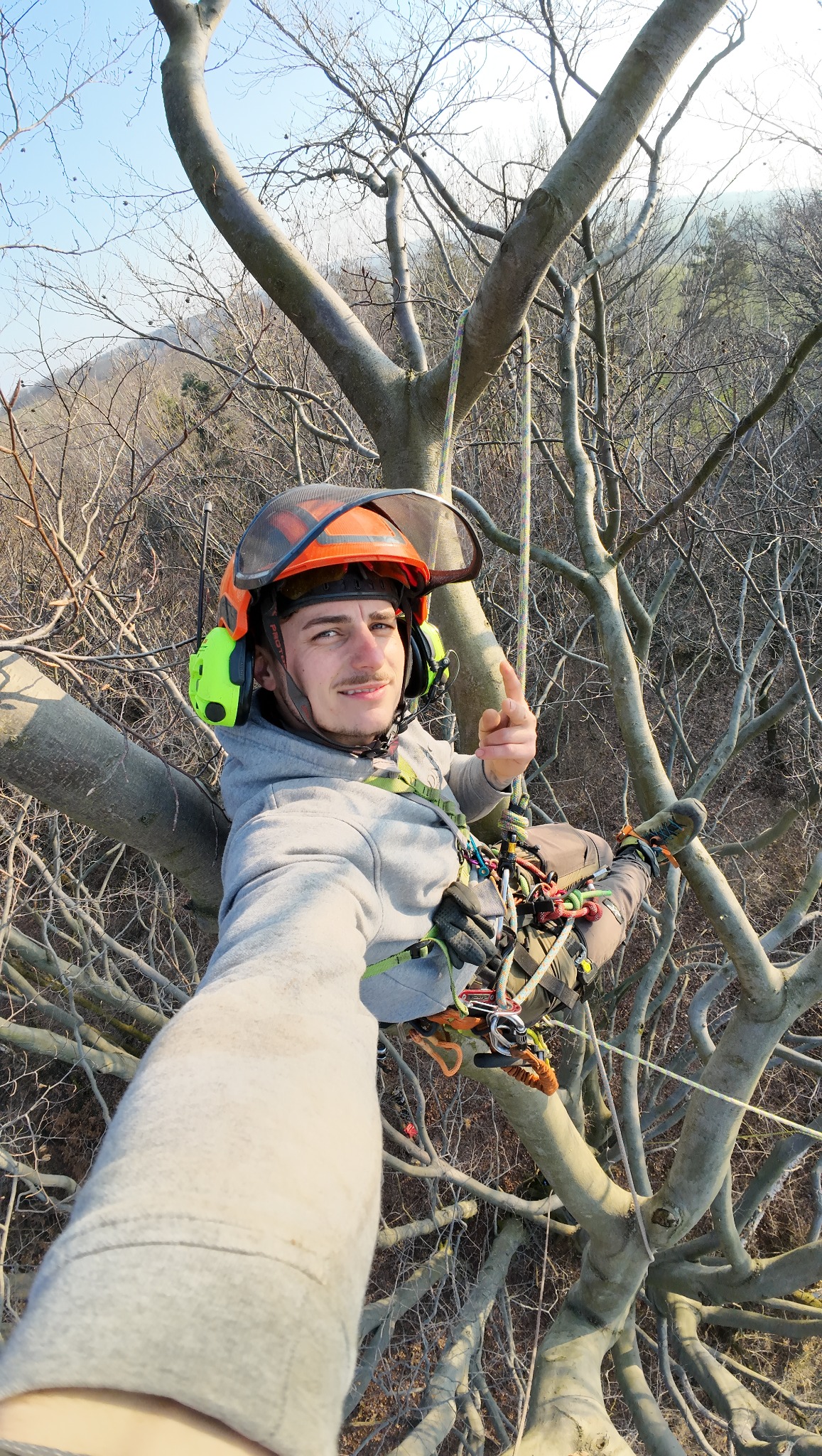 wspinaczka na 37m buka piękny okaz