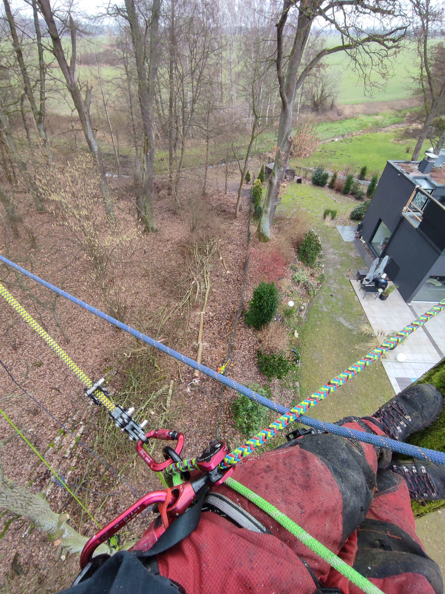 Widok z góry na arboristę w trakcie pracy na drzewie, zabezpieczonego linami, z widocznym terenem zielonym i nowoczesnym domem w tle.