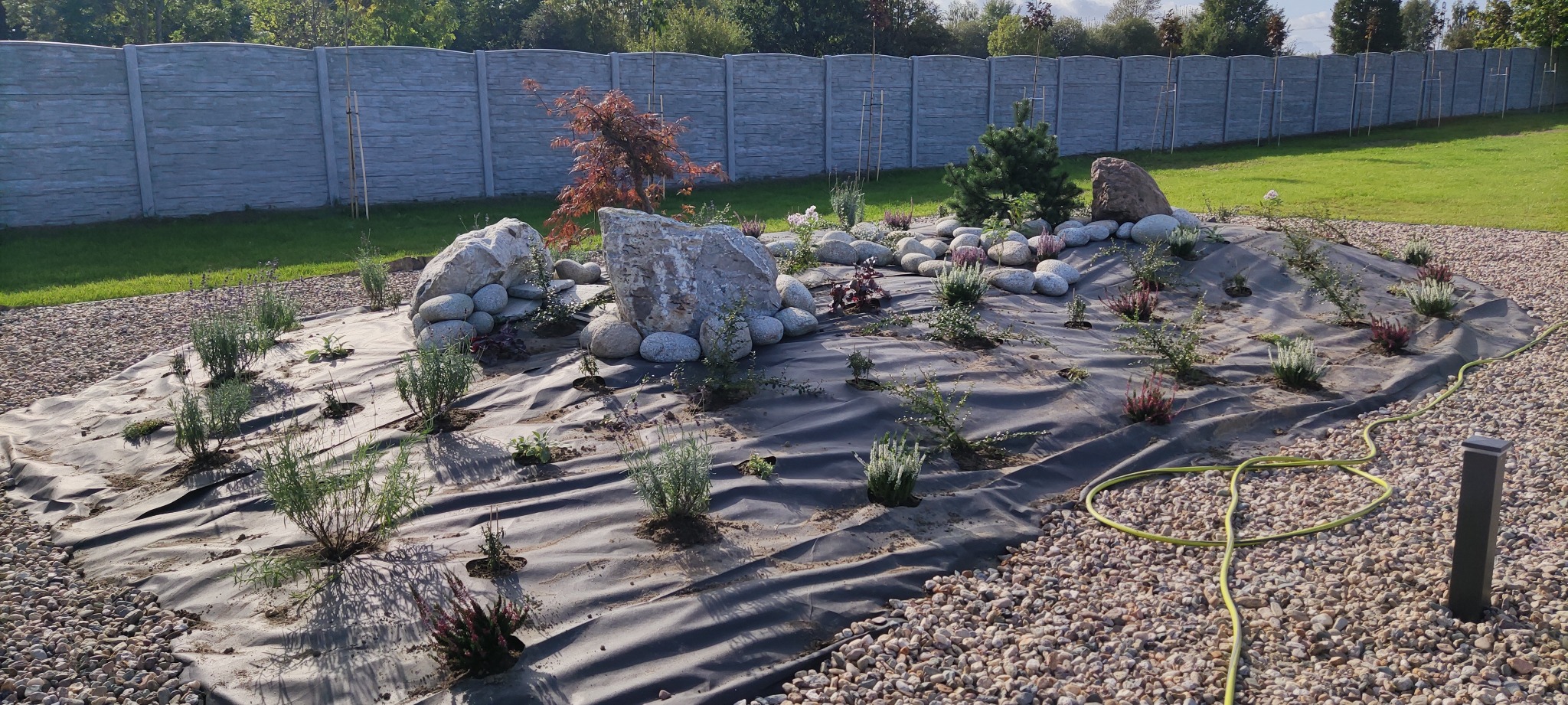 Aranżacja ogrodu w trakcie realizacji: kamienie, rośliny, agrowłóknina na tle ogrodzenia panelowego i trawnika. Widoczny wąż ogrodowy i lampa.