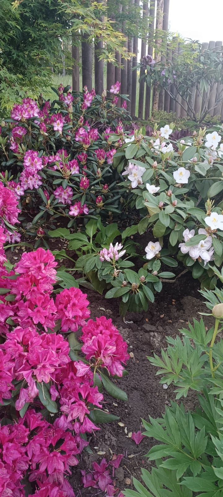 kilka ujęć z naszych realizacji