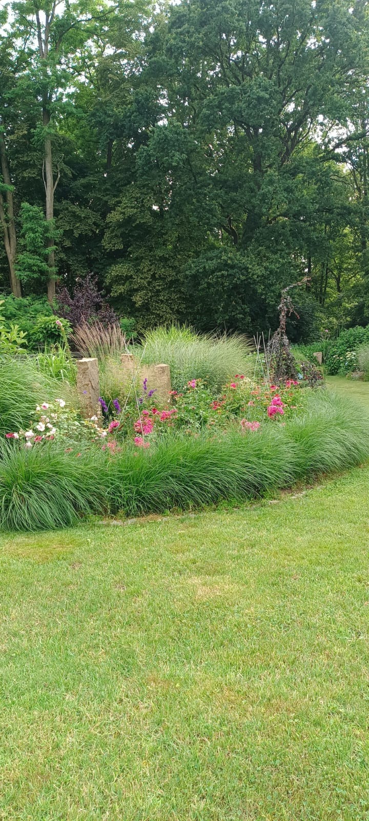 Aranżacja ogrodu z ozdobnymi trawami, różami i kamiennymi elementami. Tło stanowią drzewa, tworząc naturalny krajobraz. Widok na rabatę z bliska.