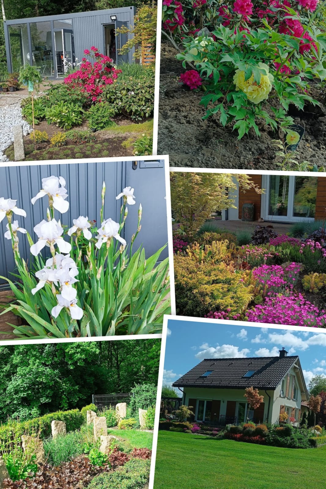 kilka ujęć na jednym zdjęciu