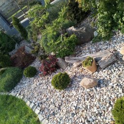 Dębolistna Ogrody - Ogród z nasadzeniami iglaków, krzewów i roślin w doniczce, wysypany białym grysem, z elementami drewna i kamieni dekoracyjnych.