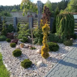 Ogród z nasadzeniami: drzewa, krzewy iglaste i liściaste, rabata wysypana drobnymi kamykami, obrzeże z kostki brukowej, w tle drewniany płot.