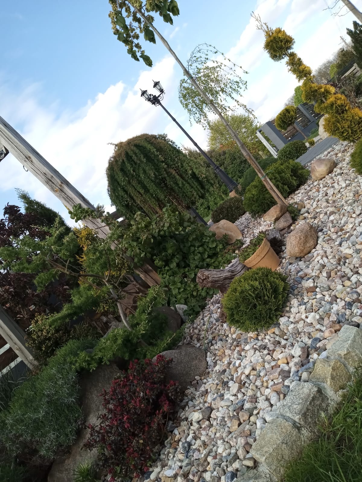 Ukośne ujęcie ogrodu z różnorodną roślinnością: iglaki, krzewy liściaste, trawy ozdobne, kamienie dekoracyjne i lampa ogrodowa w tle.