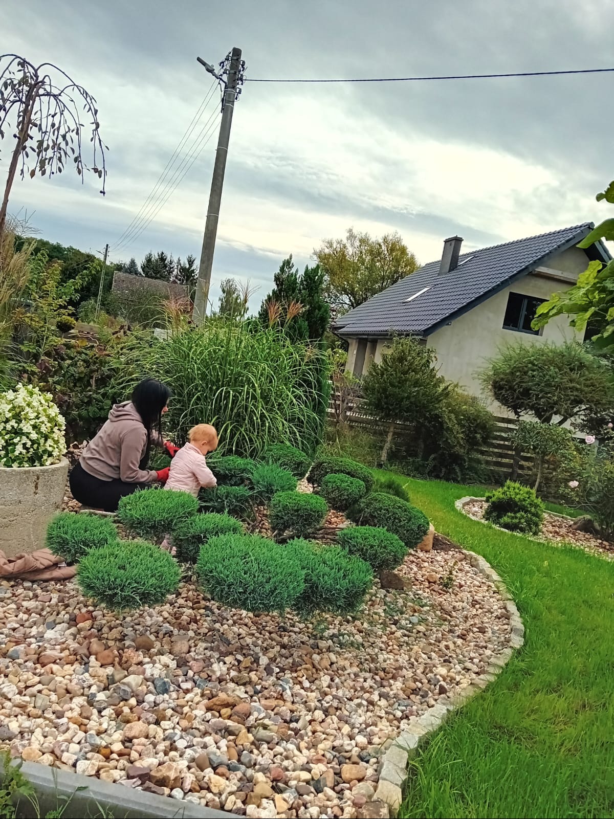 Osoba dorosła i małe dziecko w ogrodzie, przy rabacie wysypanej kamieniami, otoczonej niskimi, kulistymi krzewami iglastymi, w tle trawy ozdobne i dom.