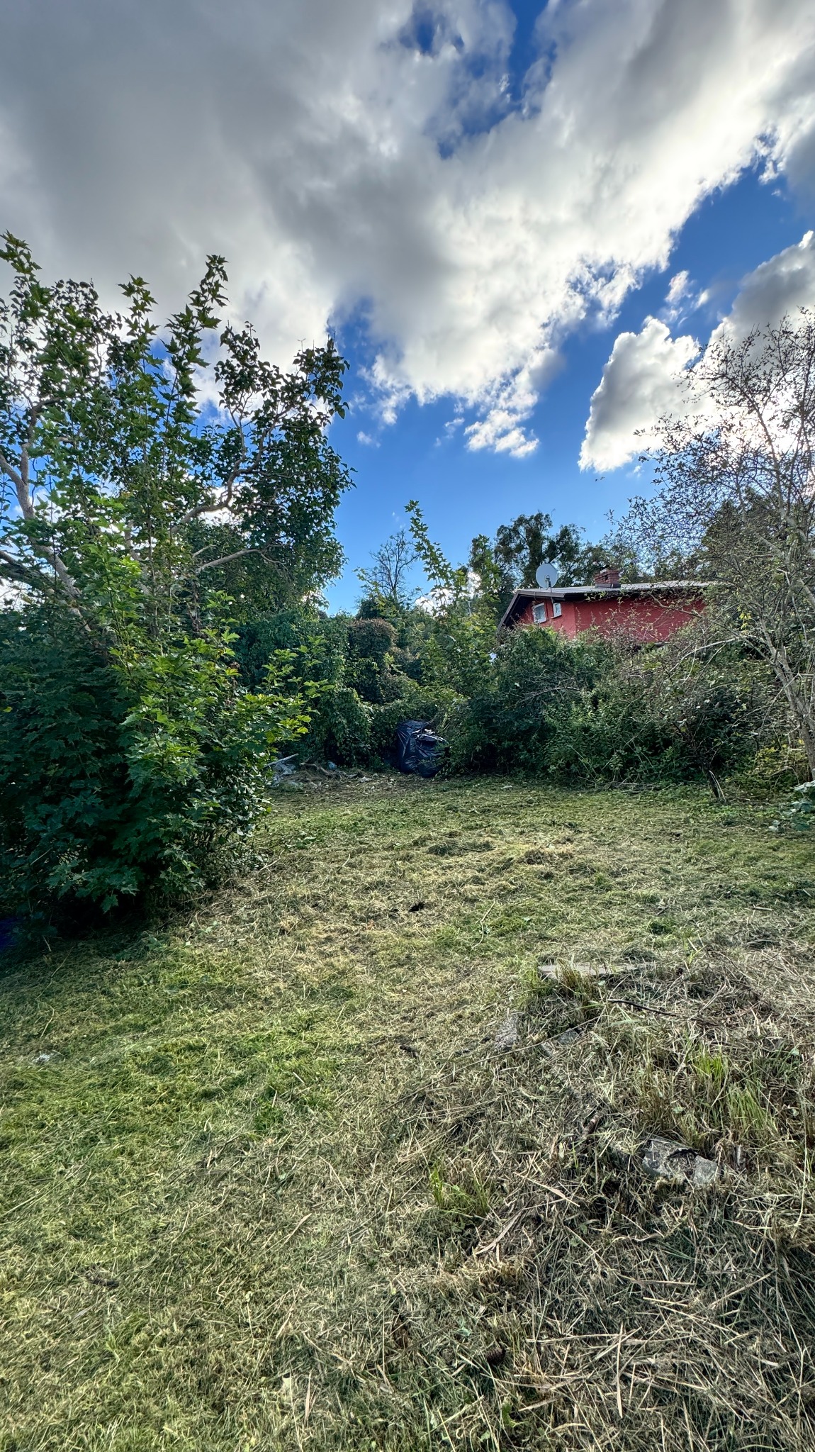 Świeżo skoszona trawa na działce z widocznym czerwonym domem w tle, otoczonym zielenią. W tle błękitne niebo z białymi chmurami.
