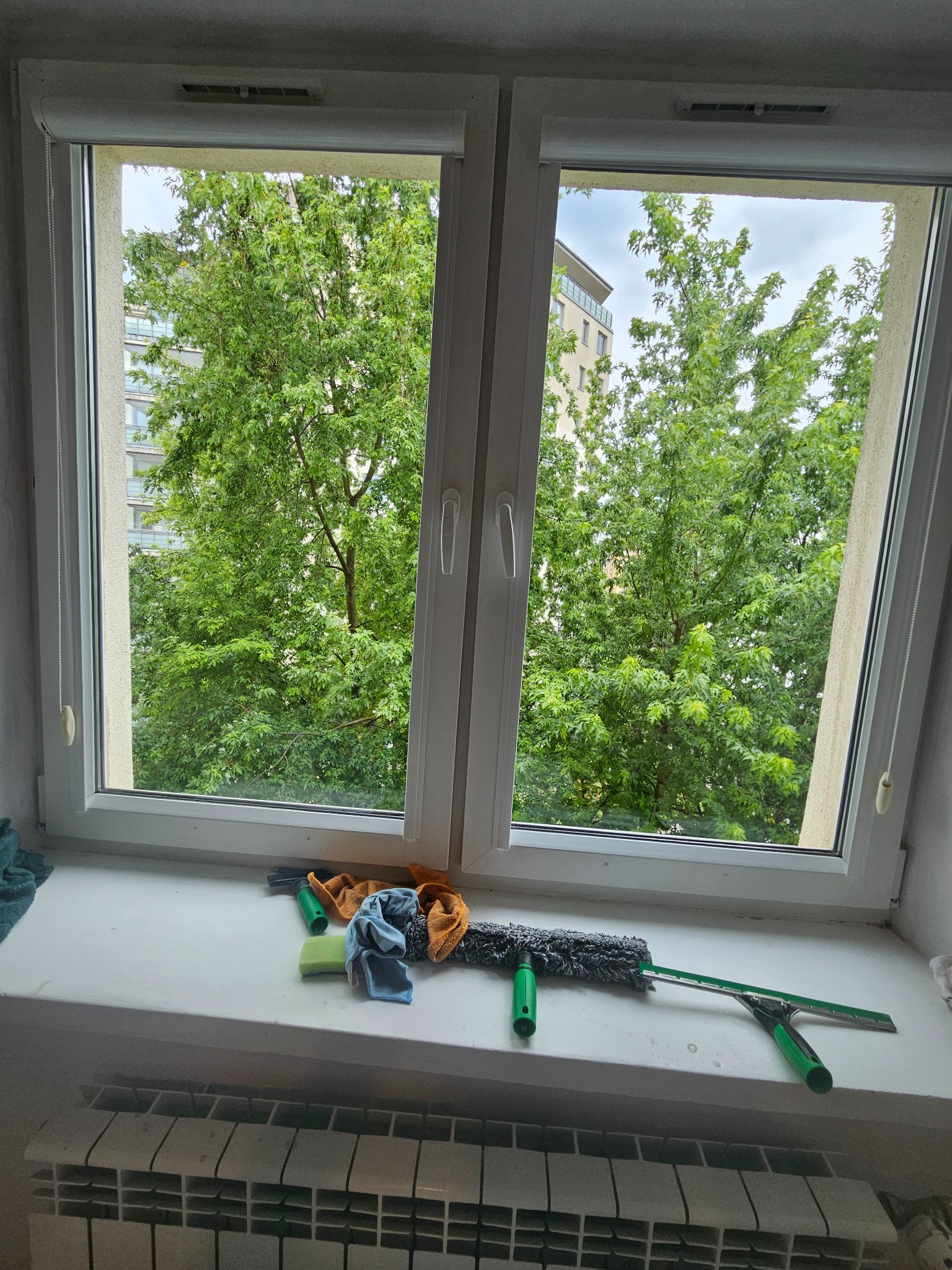 Okno po umyciu w mieszkaniu w Warszawie, z widokiem na zieleń. Na parapecie leżą ściereczki, gąbka i myjka do szyb z zielonym uchwytem.