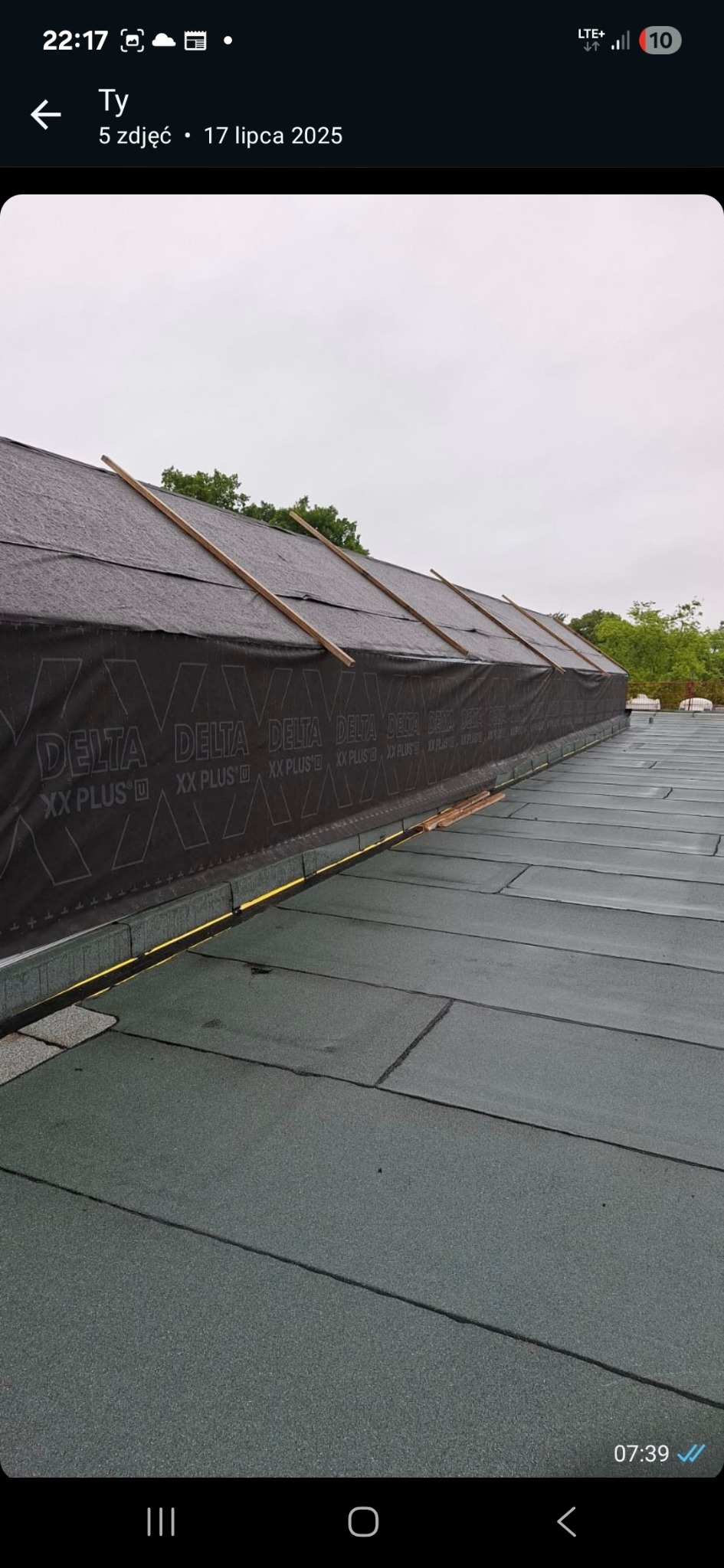 Dach pokryty papą z widoczną membraną Delta XX Plus D, zabezpieczoną drewnianymi listwami. Widok z góry, fragment zieleni w tle.