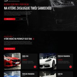 Halo Makers - Strona internetowa firmy detailingcherry.com prezentująca usługi auto detailingu z przykładami realizacji: BMW 230i, Porsche Panamera i Audi S8 po polerowaniu lakieru i nałożeniu powłoki.