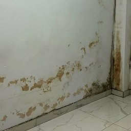 Osuszanie Wrocław 3