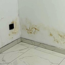 Osuszanie Wrocław 2