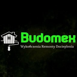 Budomex Sebastian Ślusarczyk - Renowacja Elewacji Szprotawa