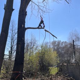 Gafi Grzegorz - Firma Ogrodnicza Chrzanów