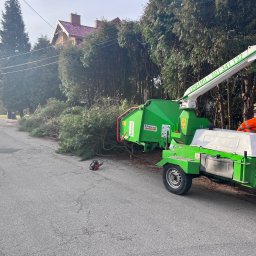 Zrębkowanie gałęzi wraz z utylizacja