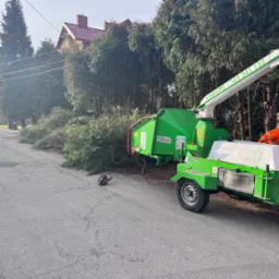 Zrębkowanie gałęzi wraz z utylizacja