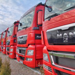 Transport międzynarodowy Dołuje 4