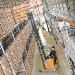 Transport międzynarodowy Dołuje 1